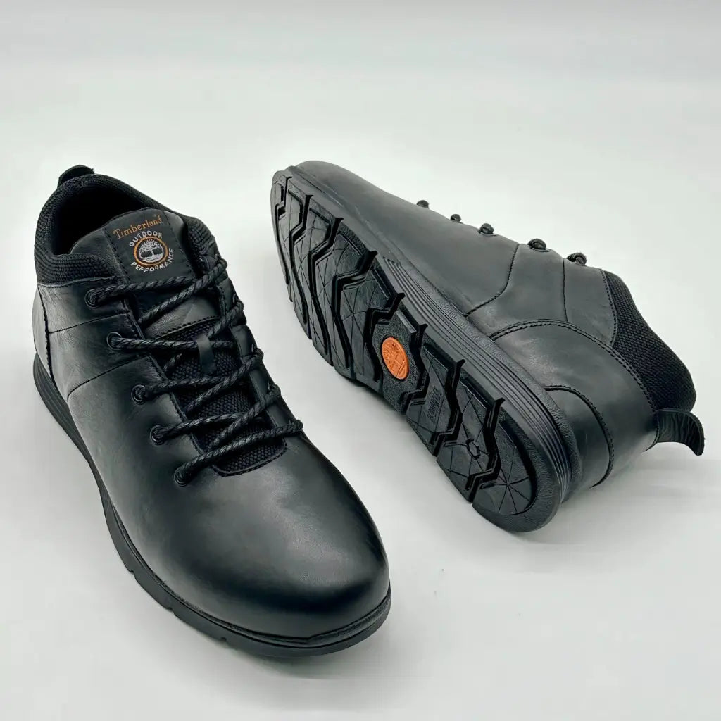 Chaussures Timberland