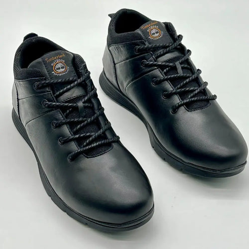 Chaussures Timberland