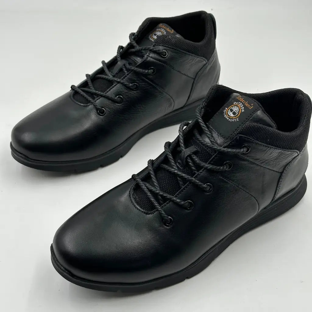 Chaussures Timberland